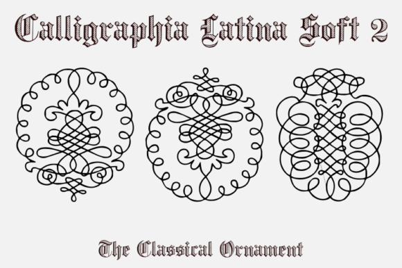 Calligraphia Latina Soft 2: Elevating Digital Brand Identity