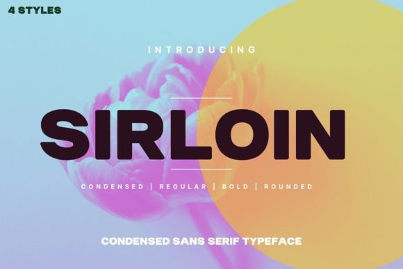 Sirloin Typeface: A Bold Sans Serif for Modern Branding
