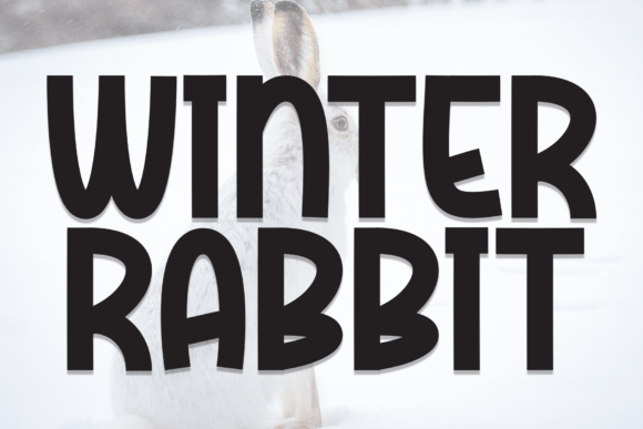 Winter Rabbit: The Bold Display Font for Cozy Holiday Campaigns